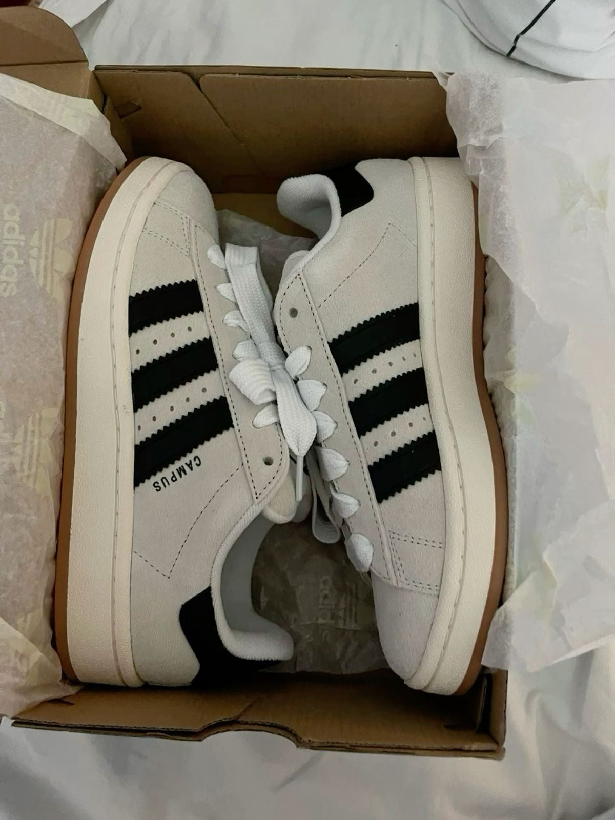 Adidas Campus Beige and Black