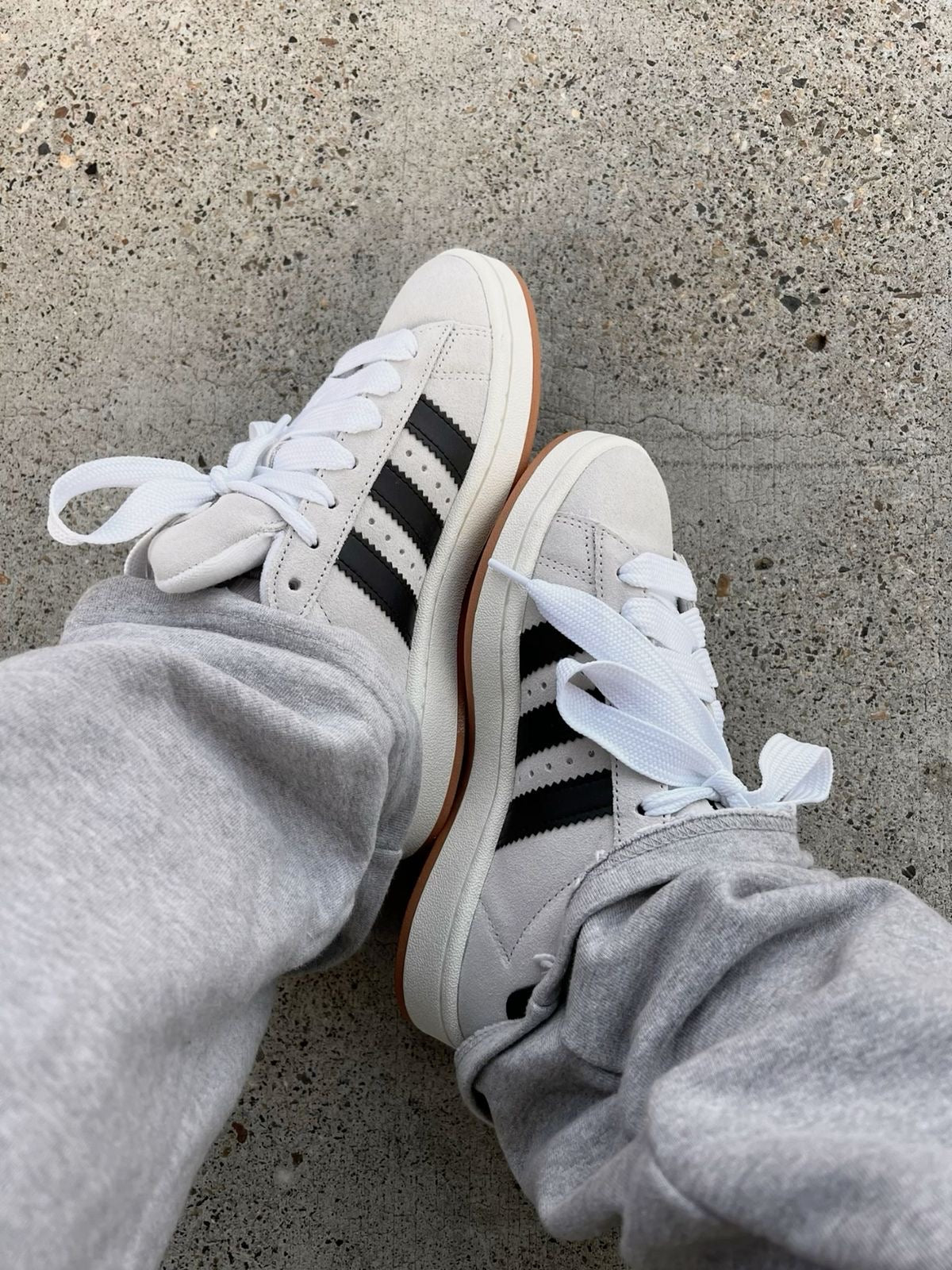 Adidas Campus Beige and Black