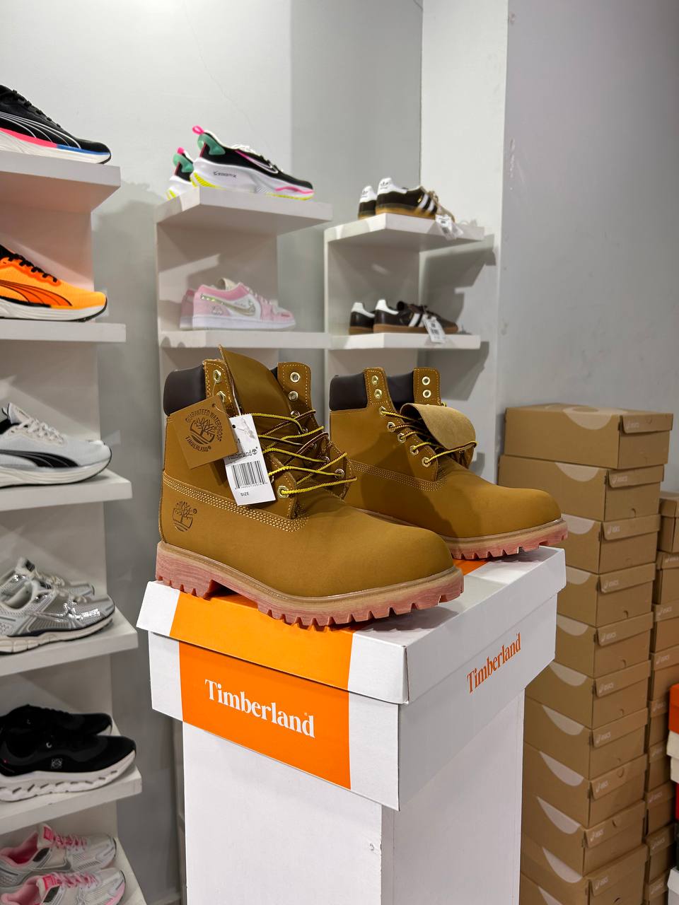 Timberland Men's 6" Premium Boots