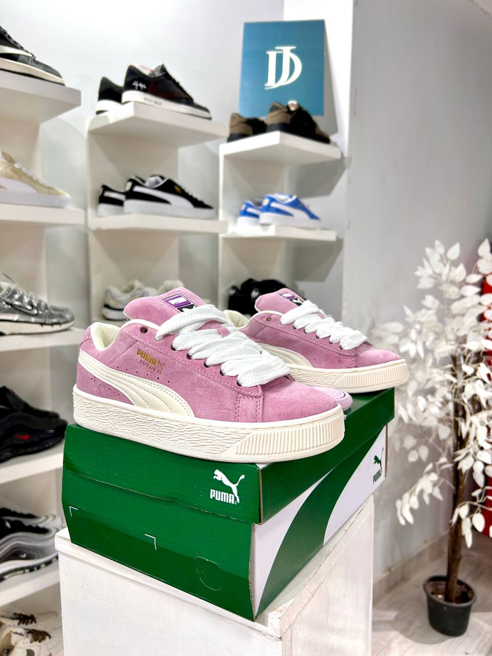 Puma XL Pink